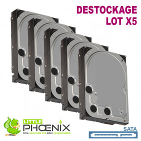 Lot de 5x Disques Durs 250Go 3.5" SATA 7200RPM pour PC de bureau - Destockage